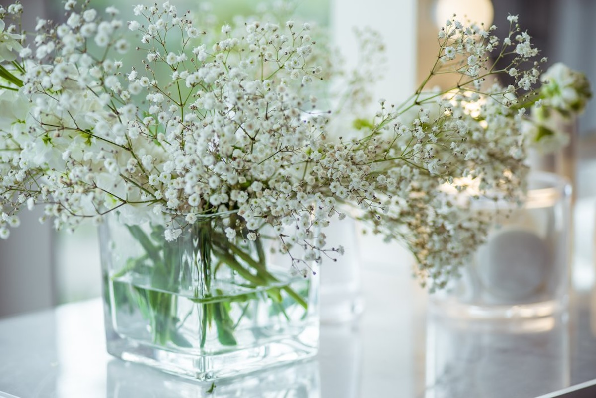 Delicate white flowers arranged in a clear glass vase